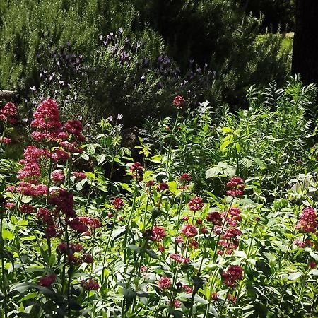 Backyard Garden Oasis Bed & Breakfast Middletown Bagian luar foto