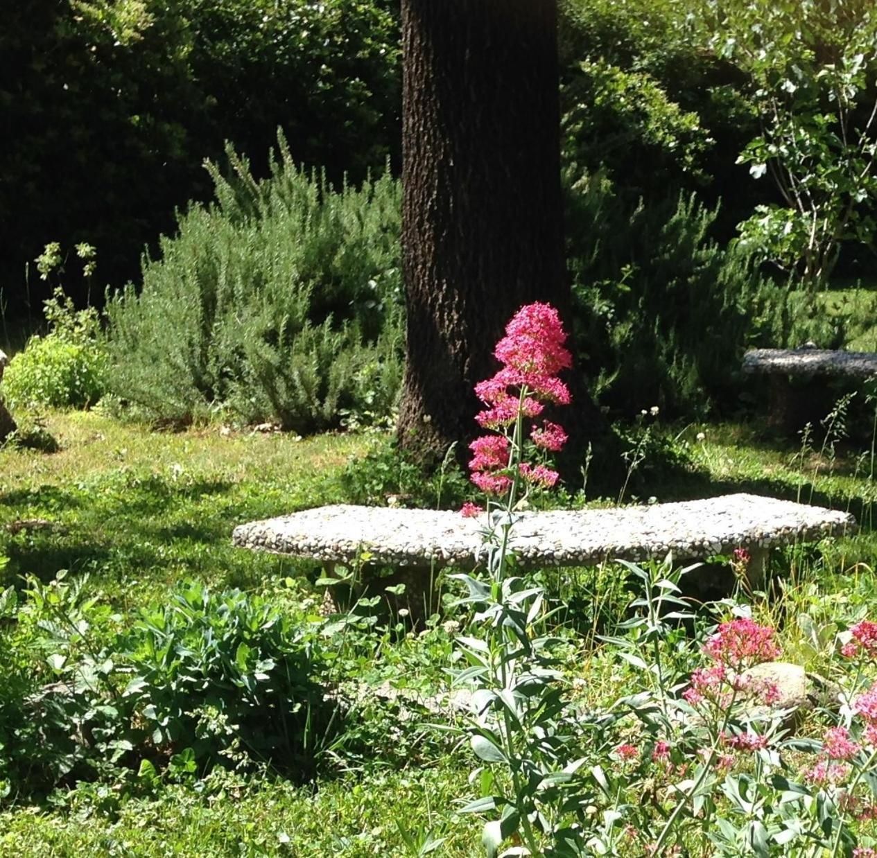 Backyard Garden Oasis Bed & Breakfast Middletown Bagian luar foto