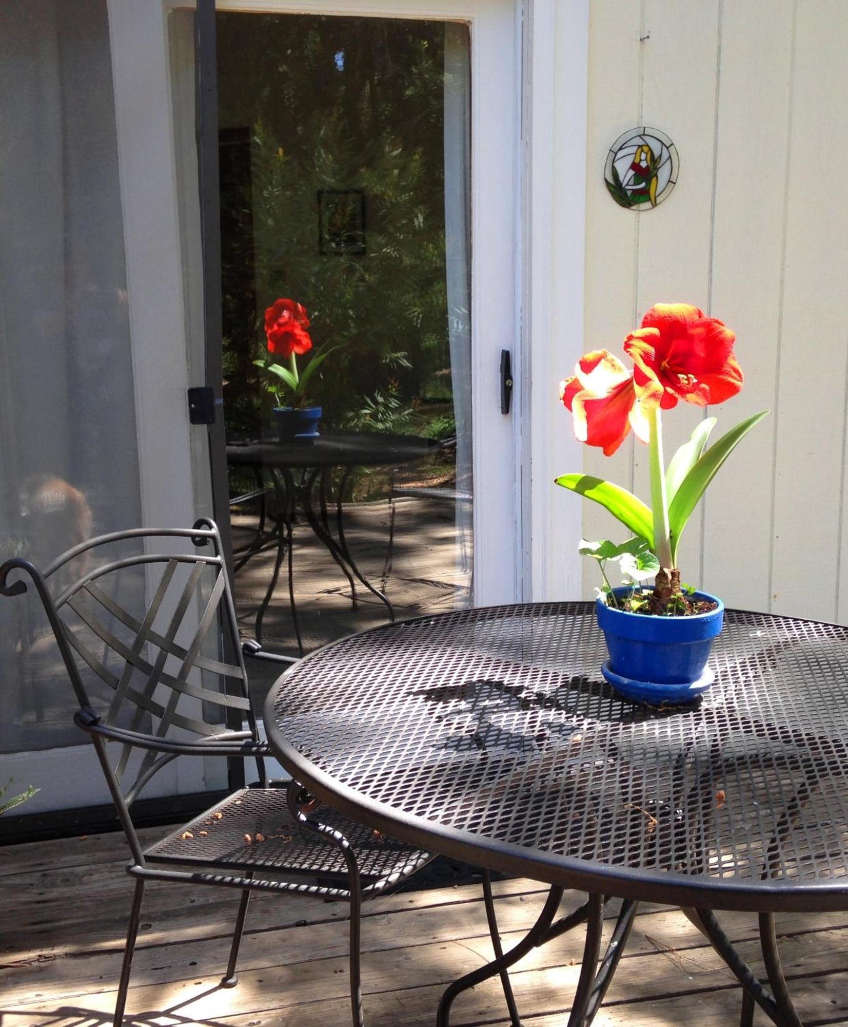 Backyard Garden Oasis Bed & Breakfast Middletown Bagian luar foto