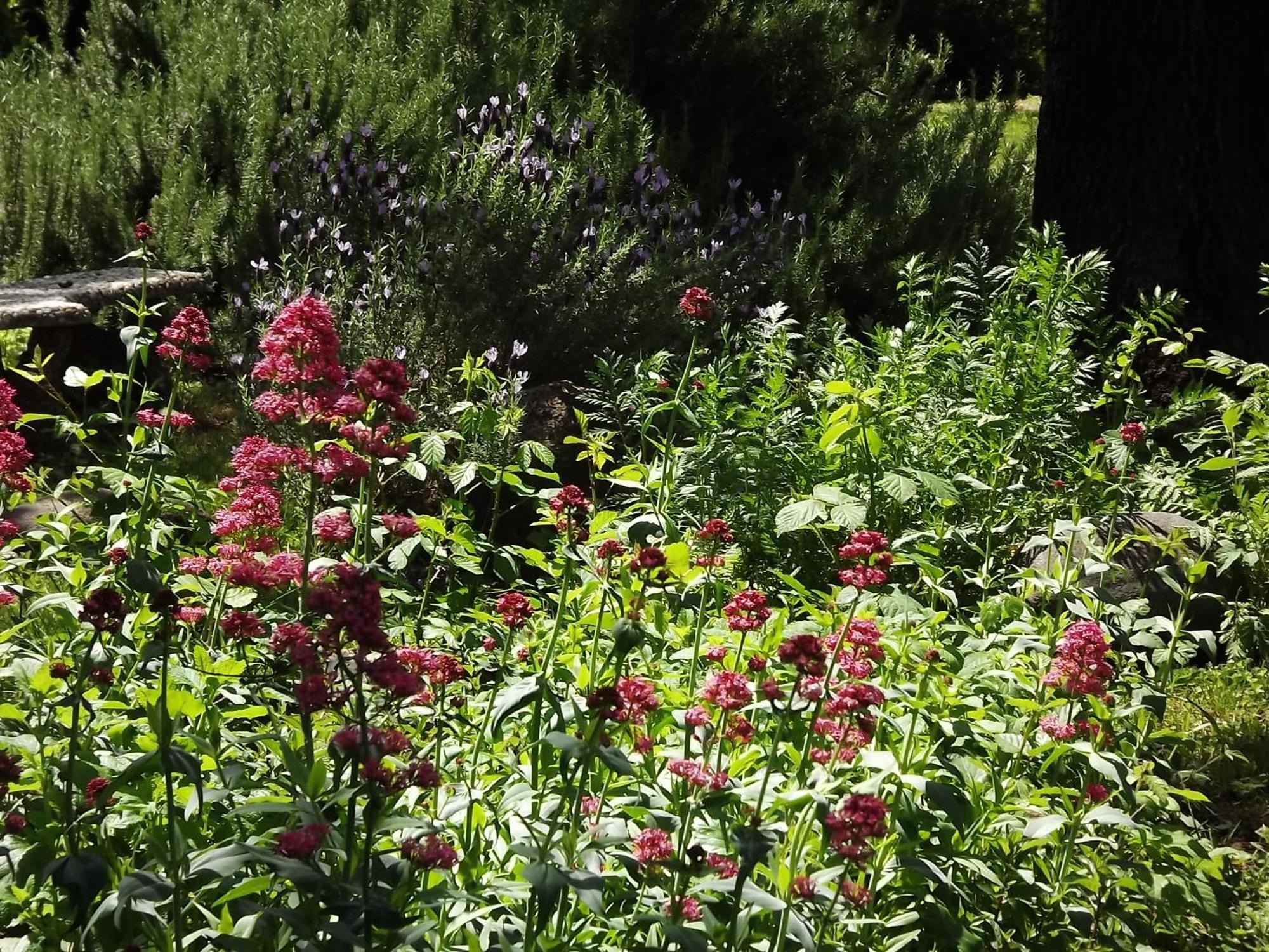 Backyard Garden Oasis Bed & Breakfast Middletown Bagian luar foto