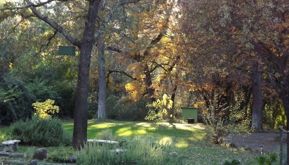Backyard Garden Oasis Bed & Breakfast Middletown Bagian luar foto