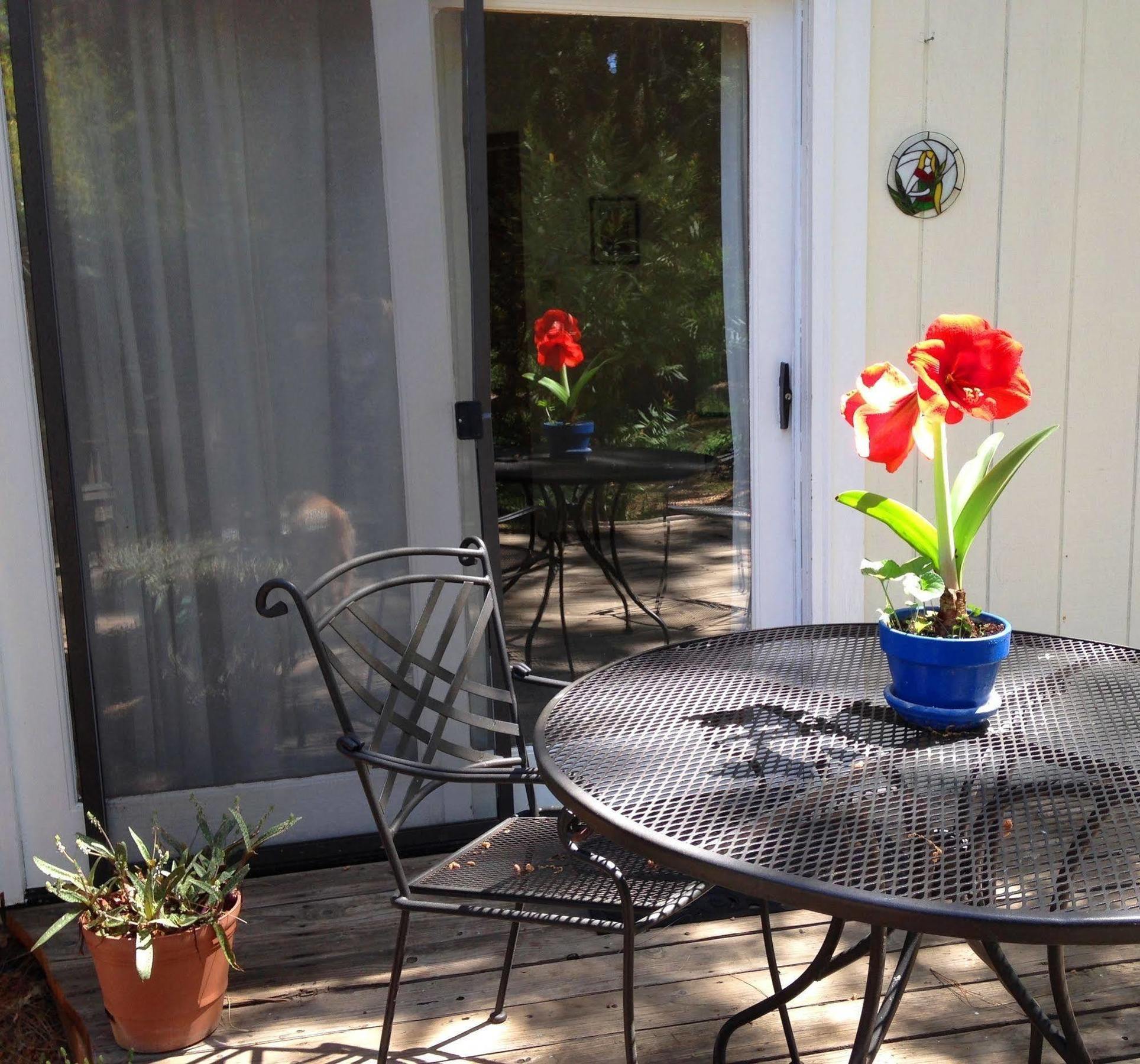 Backyard Garden Oasis Bed & Breakfast Middletown Bagian luar foto
