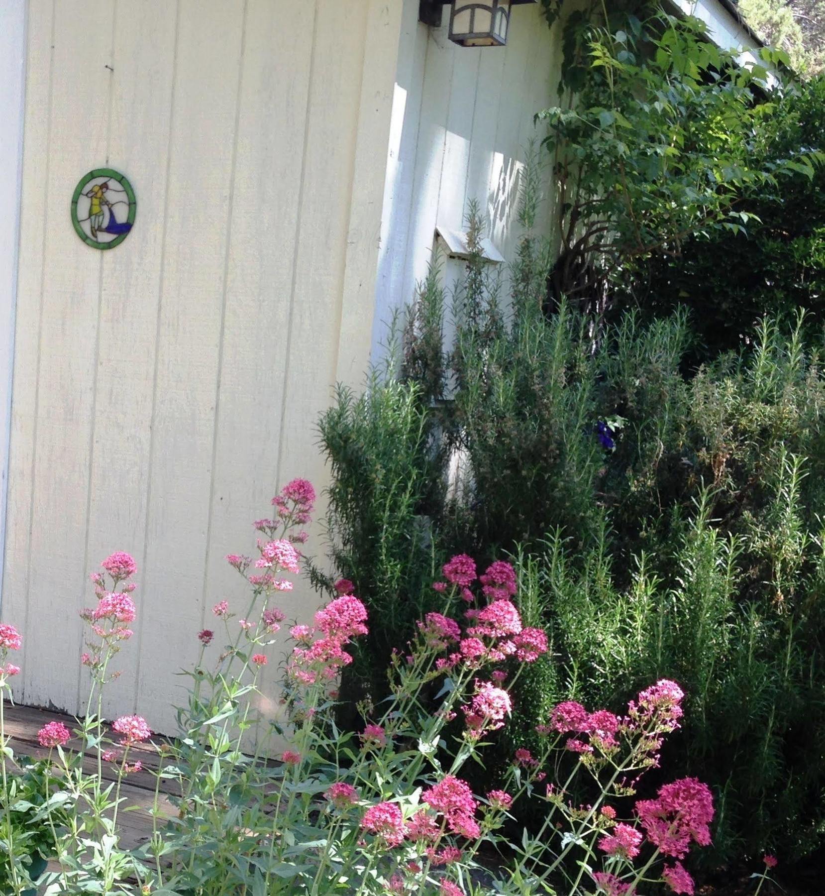 Backyard Garden Oasis Bed & Breakfast Middletown Bagian luar foto